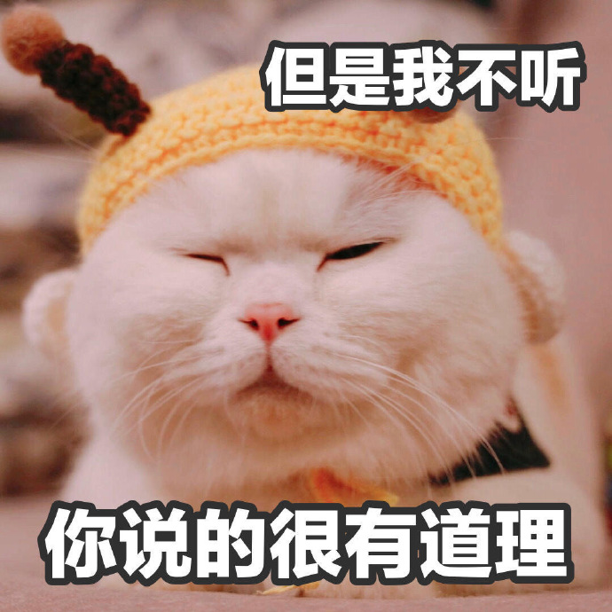 可爱带字的微信超萌喵星人表情包