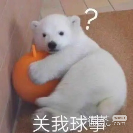开心微信聊天表情包
