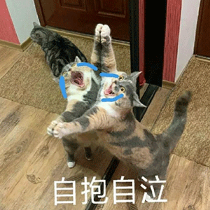 想你微信恶搞斗图表情包