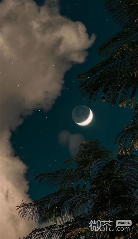 唯美梦幻的微信星空壁纸图片