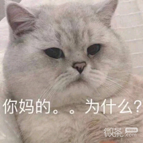 开心微信聊天表情包