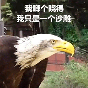想你微信恶搞斗图表情包