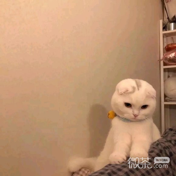 励志微信朋友圈配图