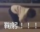 卧槽微信逗比聊天表情包