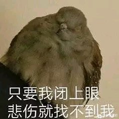想你微信恶搞斗图表情包