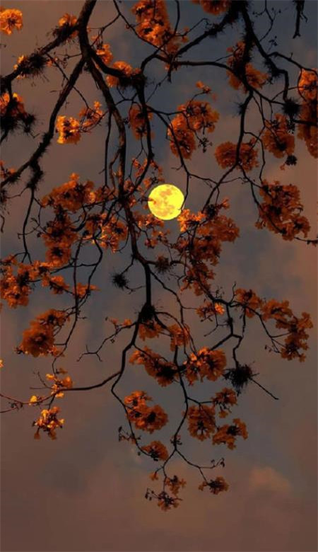 唯美梦幻的微信星空壁纸图片