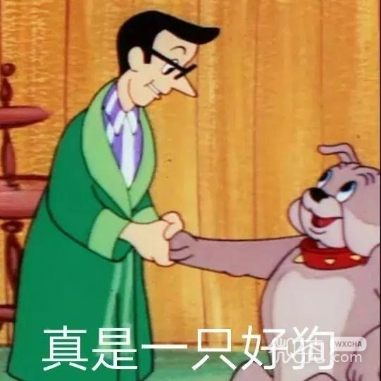 可爱搞怪的微信带字聊天表情包