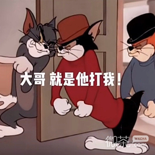 让人捧腹的微信猫和老鼠带字表情包