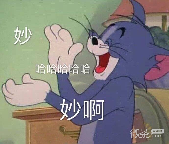 让人捧腹的微信猫和老鼠带字表情包