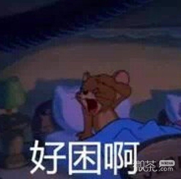 让人捧腹的微信猫和老鼠带字表情包