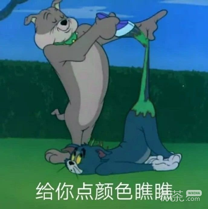 让人捧腹的微信猫和老鼠带字表情包