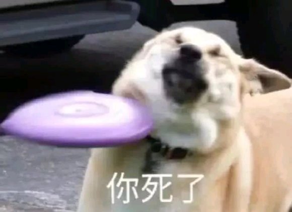 鸳鸯锅微信逗比聊天表情包