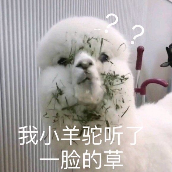 鸳鸯锅微信逗比聊天表情包