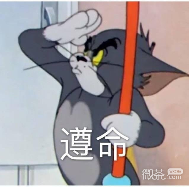 让人捧腹的微信猫和老鼠带字表情包