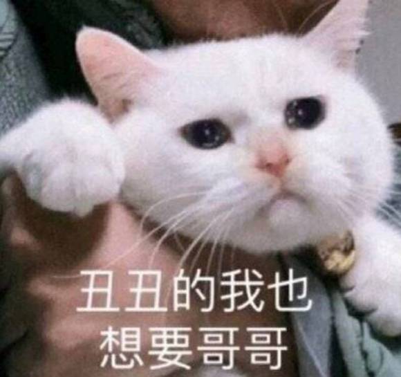 气微信聊天斗图表情包