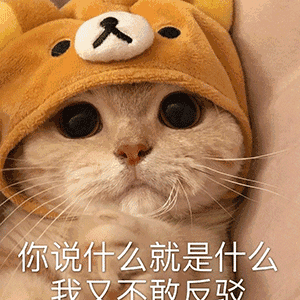老实巴交微信聊天表情包