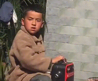 智障的笑了微信逗比聊天表情包