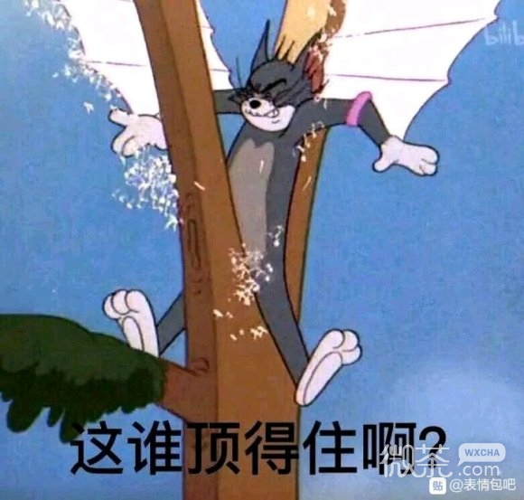 微信逗比斗图猫和老鼠表情包