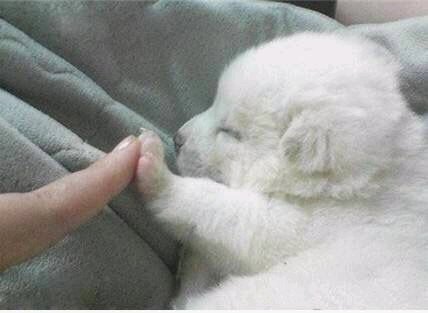 永别微信聊天斗图表情包