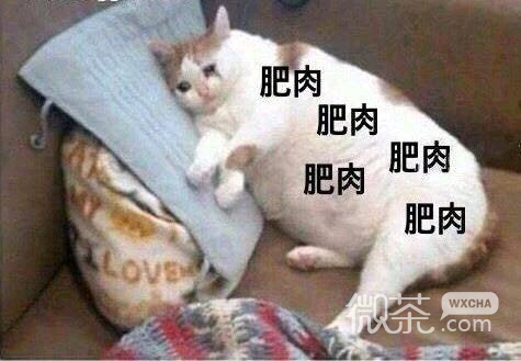 看淡微信聊天斗图表情包