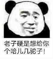 微信近期斗图恶搞表情包2020/4/18