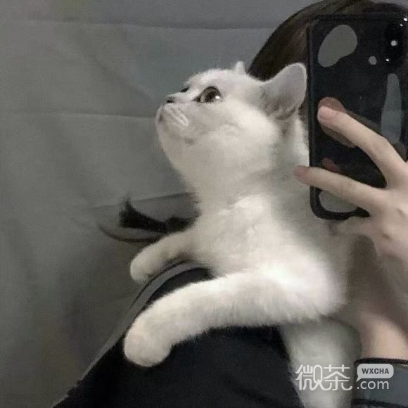 微信潮流性感最潮女生头像