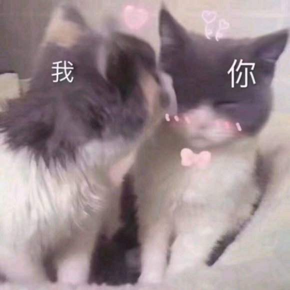 微信逗比聊天表情包