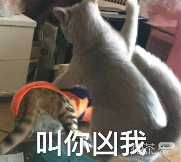 委屈微信逗比聊天表情包