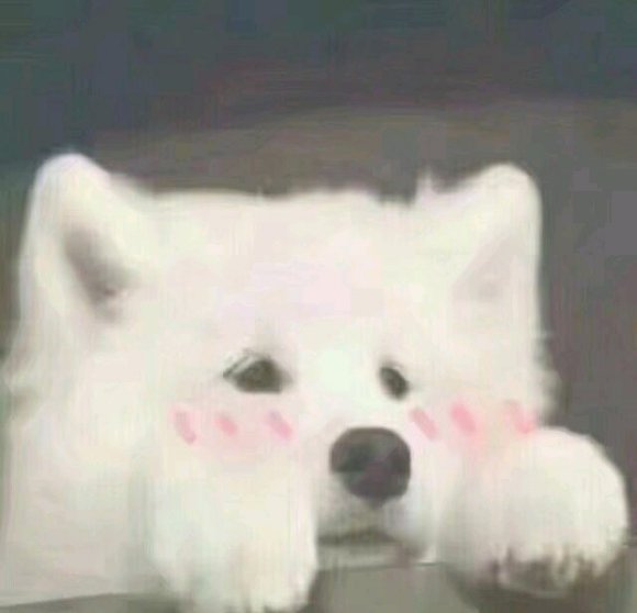 永别微信聊天斗图表情包