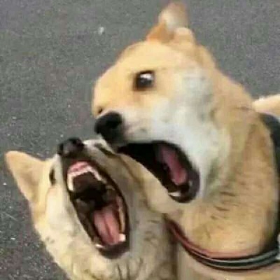 2020微信爆火的个性情侣头像