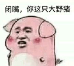 看淡微信聊天斗图表情包