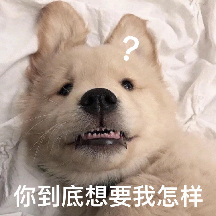搞笑带字的微信沙雕群聊表情包合集