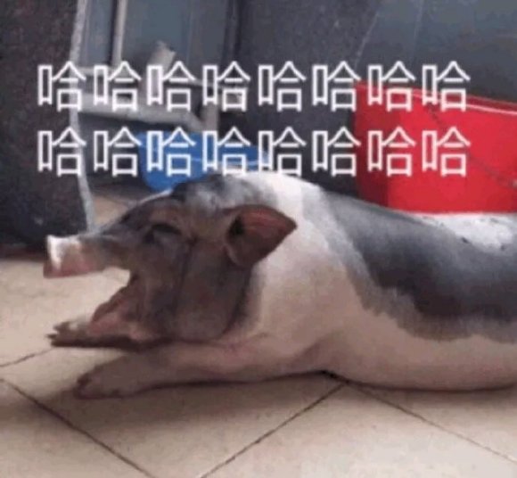 看淡微信聊天斗图表情包