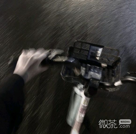 微信文艺绿色系朋友圈配图