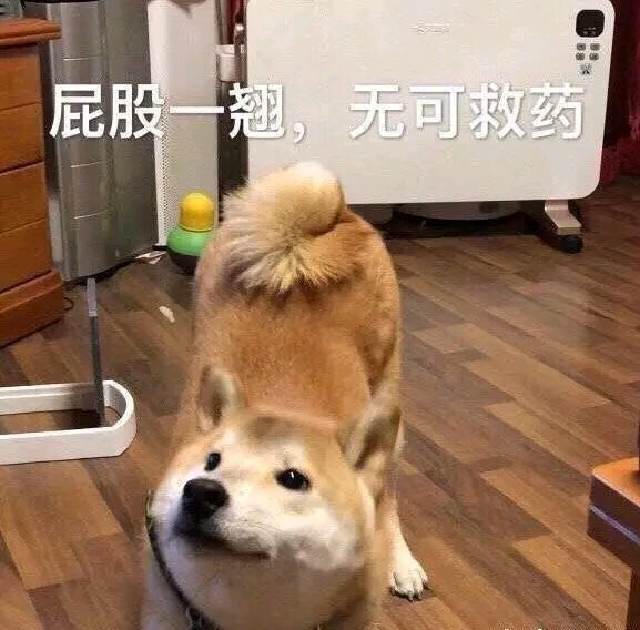 看淡微信聊天斗图表情包