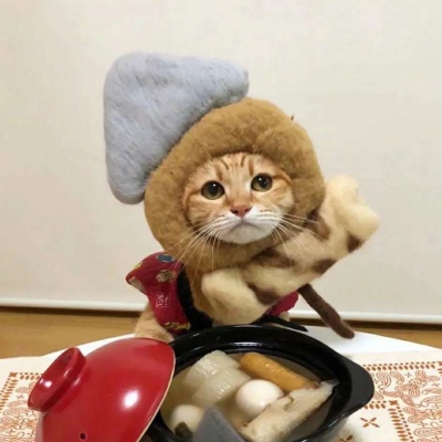 可爱搞怪的微信萌宠头像合集