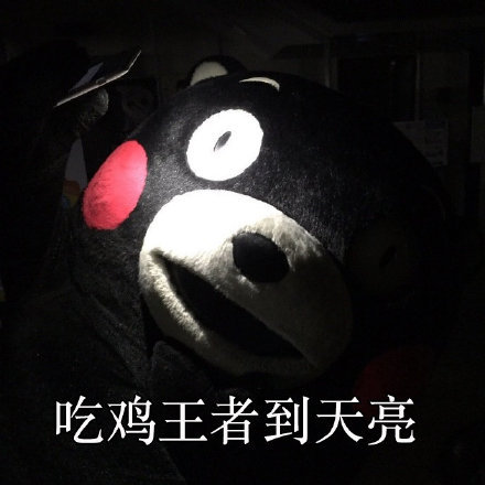 不谈恋爱屁事没有微信熊猫头表情包