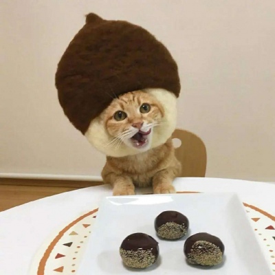 可爱搞怪的微信萌宠头像合集