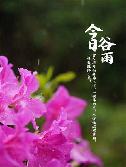 二十四节气谷雨微信带字图片合集