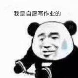 搞笑带字熊猫头我是自愿的微信表情包