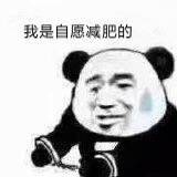 搞笑带字熊猫头我是自愿的微信表情包