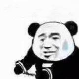 搞笑带字熊猫头我是自愿的微信表情包