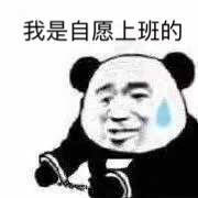 搞笑带字熊猫头我是自愿的微信表情包