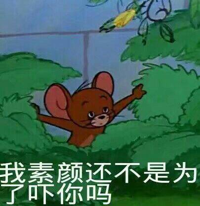 令人智熄的微信猫和老鼠表情包