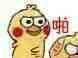 微信可爱鹦鹉斗图表情包
