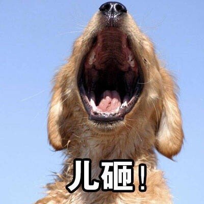 儿砸微信表情包
