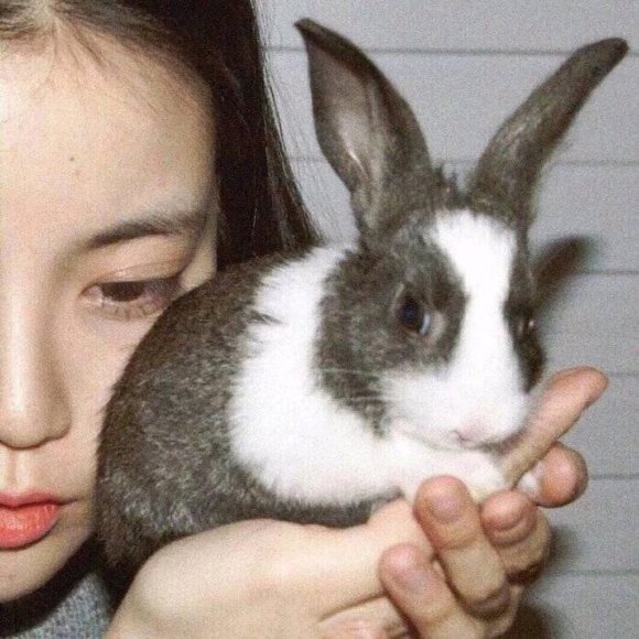 成熟冷酷搞怪微信女生头像