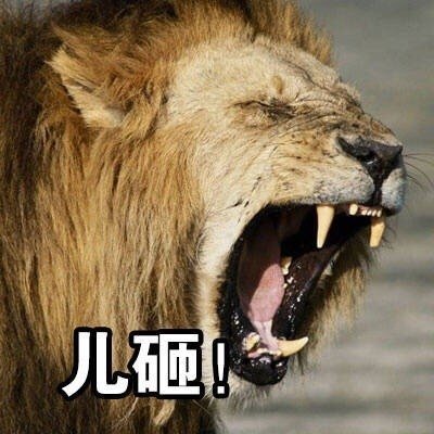 儿砸微信表情包