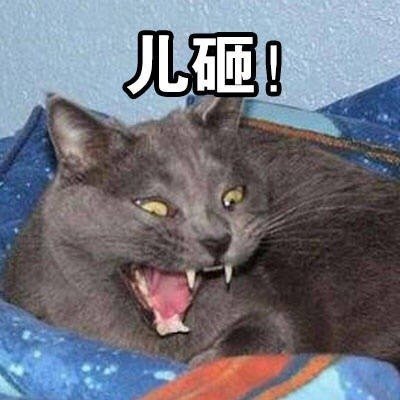 儿砸微信表情包