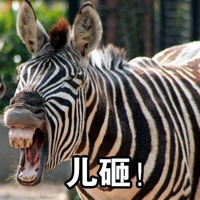 儿砸微信表情包